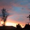 random_6335