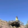 cinthia.ck5