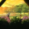 sakuxore