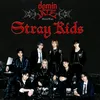 straykidsskzoo16