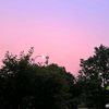 fasya_384