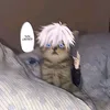 qn_rf