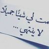 njm.aldmyny