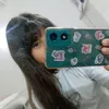 frannn._rrs