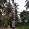 zhafira4450