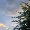 gabriellyamorim_72397