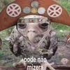 podenaomizera20120327