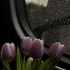 khwn_.nqocc08