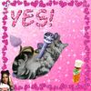 vbenuyluvs2cats