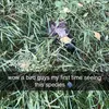 zohaib_xa