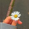 amna.mahmoud043
