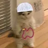 i_4jj3