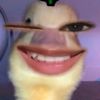 elsasuraya1