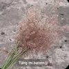 toiladomchuaa