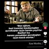 adinoky_volk2