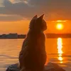 somewhere_intheclouds