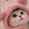 _urlove.rayaaa