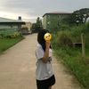 shin81739