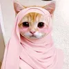 akhtarandleeb