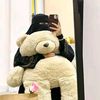 zanair.ahmed