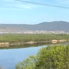 bezdarnostt_