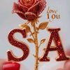 salma.abid736