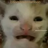 shi_tty_kid_killer