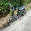 chikha210264