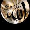 user58632681709687