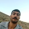 homan.barani