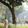 hongnguyenhong3