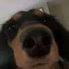 fionn_1530