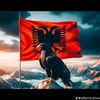 faridkara06