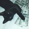 milwxxx4