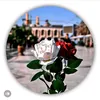 user4454567627942