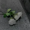 user5122816799060