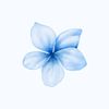 def_notvalerian