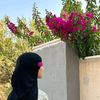 roro_200749