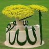 user296211810