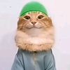kedullah_fan67