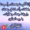 mohamed.ibrahim6024