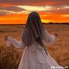 arwa33360