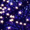 starlit.sky.collective