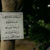 user4226146160395