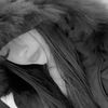 gaby_23.14