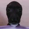 bnghmthsn