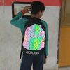 panzz8c