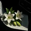b.