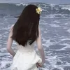 d_n__18_
