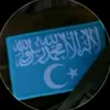 wis_m03